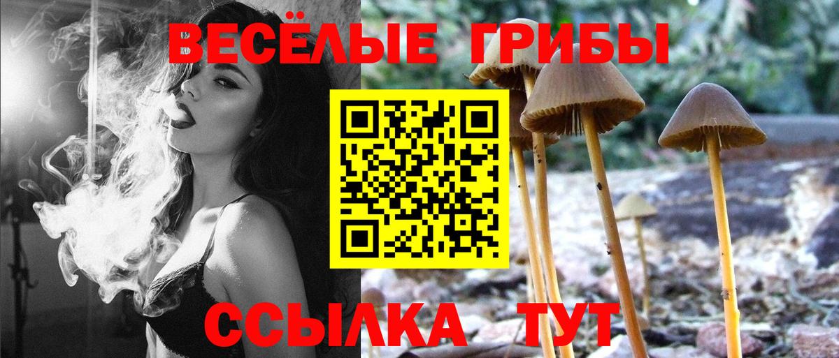 Псилоцибиновые грибы мицелий Боровичи
